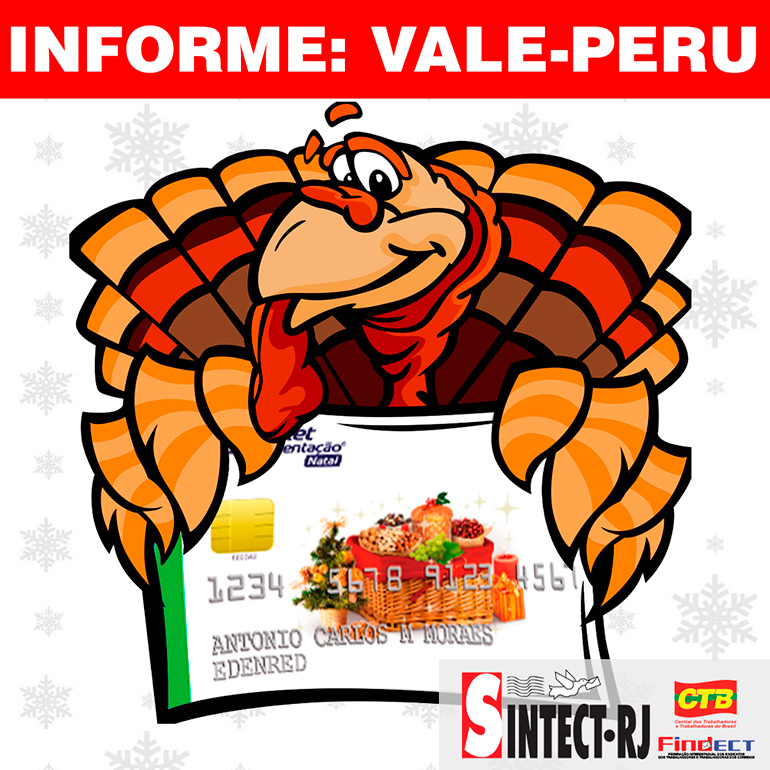 image_sintect_rj_image_informe_vale_peru_2011